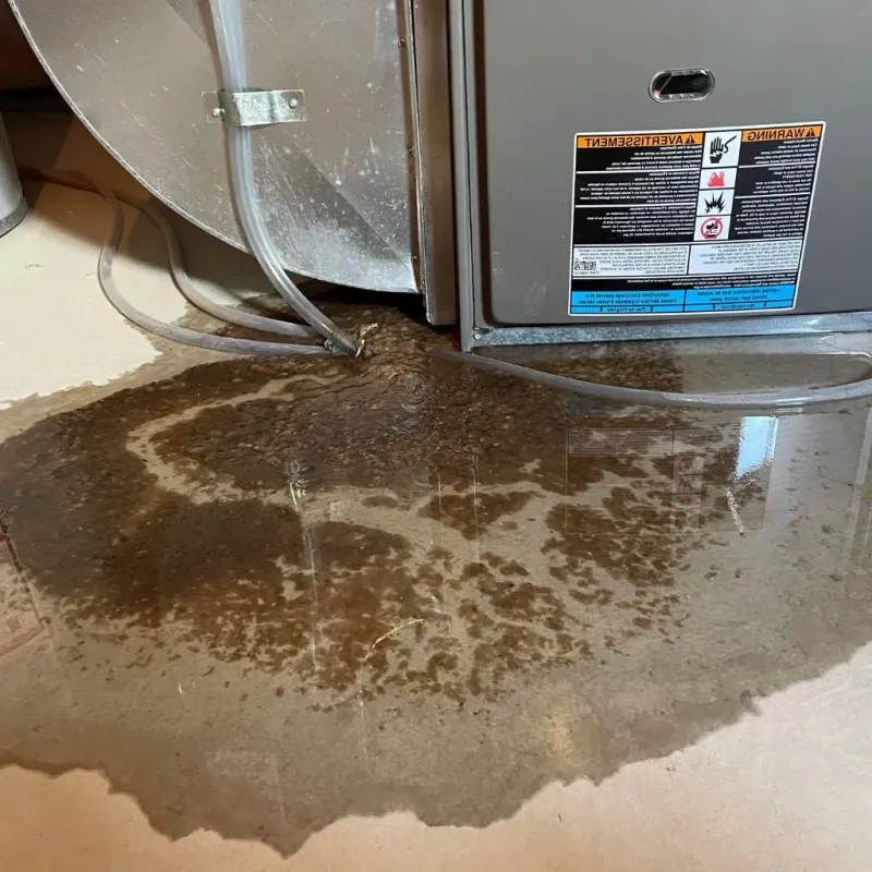Pipe Burst and Leak Restoration in Blackshear, GA