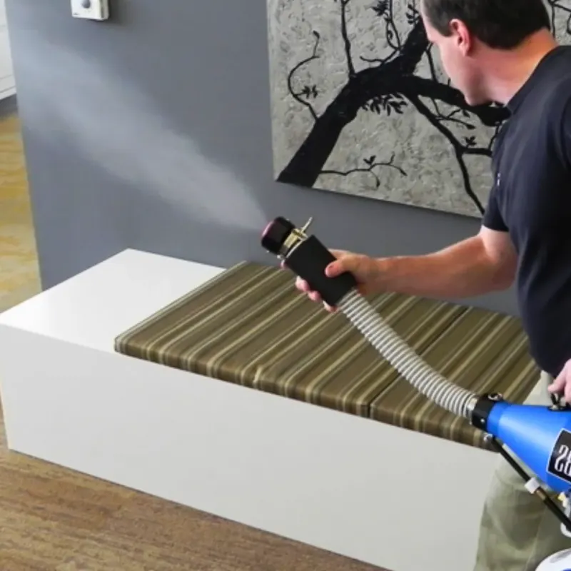 Professional Odor Removal in Blackshear, GA