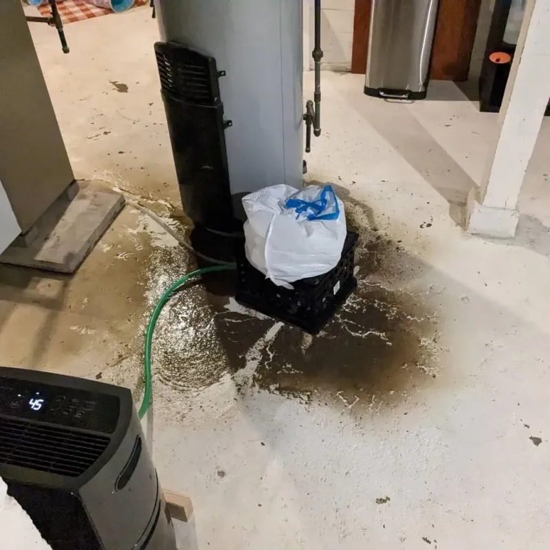Sewage Backup Cleanup Service in Blackshear, GA